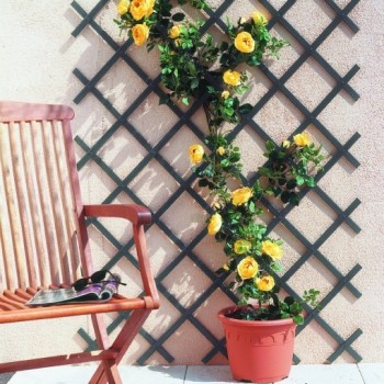 CELOSIA NORTENE TRELLIFLEX EXTENSIBLE ANTRACITA PLASTICO 22x6 1x2M 2