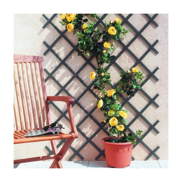 CELOSIA NORTENE TRELLIFLEX EXTENSIBLE ANTRACITA PLASTICO 22x6 1x2M