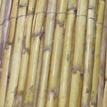 CAÑIZO NATURAL MEDIA CAÑA 1x5M NOVARTIX