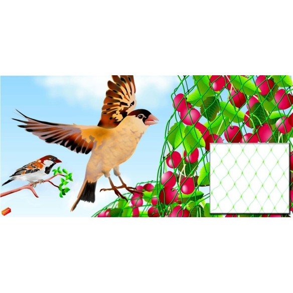 MALLA ANTIPAJAROS 5019 4X12M INTERMAS