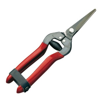 TIJERA RECOLECTORA   19cmt 1270