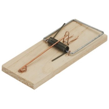 RATERA TABLA MADERA N.3