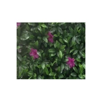 JARDIN VERTICAL MALVA 50x50CM
