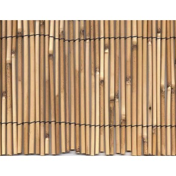 CAÑIZO BAMBU PELADO 1x5M NOVARTIX