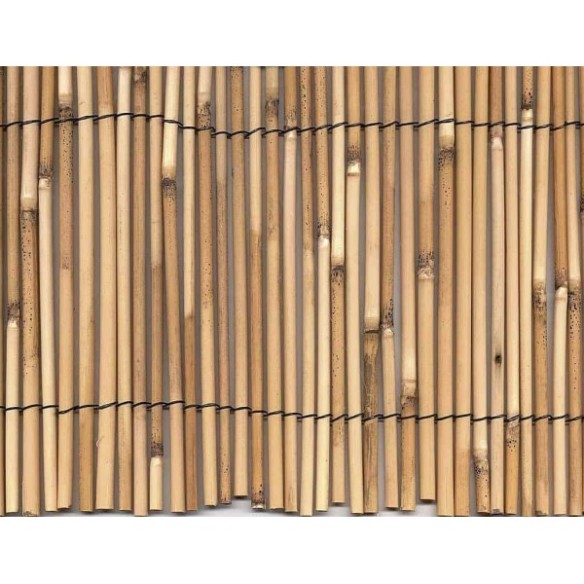 CAÑIZO BAMBU PELADO 1x5M NOVARTIX