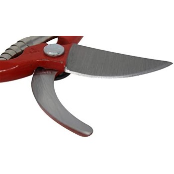 TIJERA DE PODA DE MANO BELLOTA  FORJADA 2