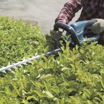 UH5570 Cortasetos eléctrico 55cm 2