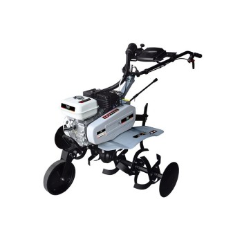 MOTOAZADA OMEGA LE MANS