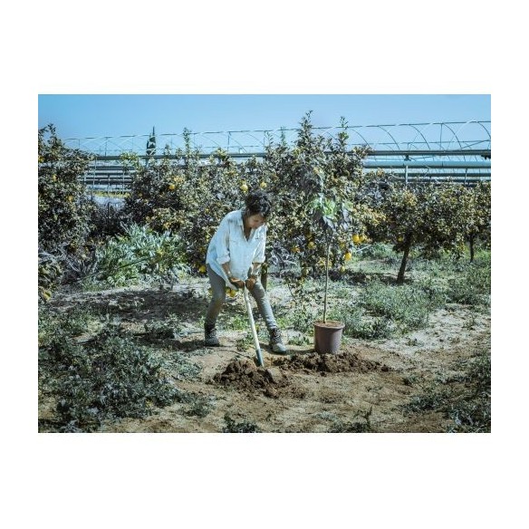 Palote estampado para transplantar y perfilar el terreno / 5573M