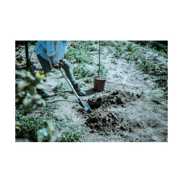 Palote estampado para transplantar y perfilar el terreno / 5573M