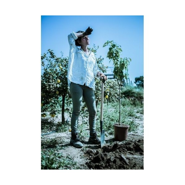 Palote estampado para transplantar y perfilar el terreno / 5573M