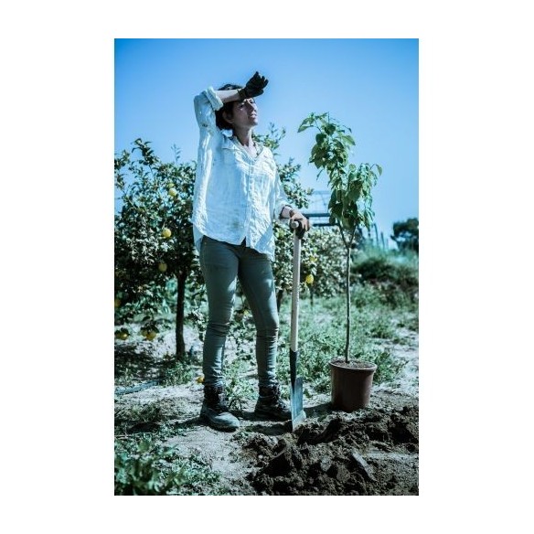 Palote estampado para transplantar y perfilar el terreno / 5573M