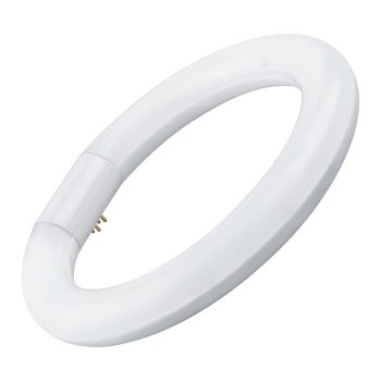 FLUORESCENTES LED T9 CIRCULAR 22CM. 15W. FRIA