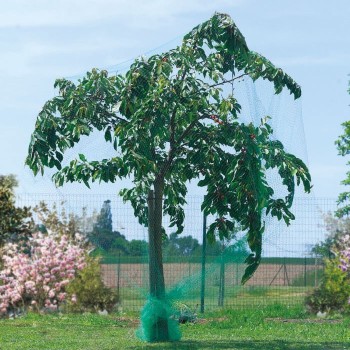 MALLA ANTIPAJAROS BIRDNET (5019) 8X10M NE X6