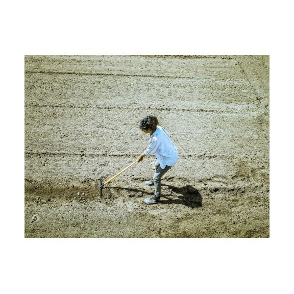 igualar y cubrir sembrados / 951CML