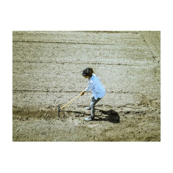 igualar y cubrir sembrados / 951CML