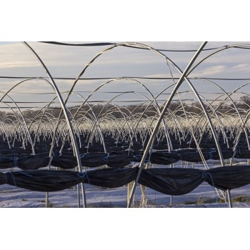 FILM ESPECIAL HUERTO