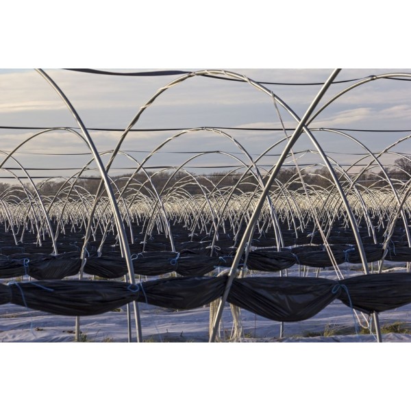 FILM ESPECIAL HUERTO 1