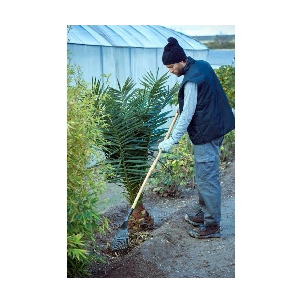 Escoba púas planas para limpieza de césped con mango madera FSC  / 3041CM