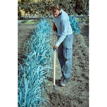 Cultivador 3 púas para trabajos de mantenimiento del jardín / 3084CM 2