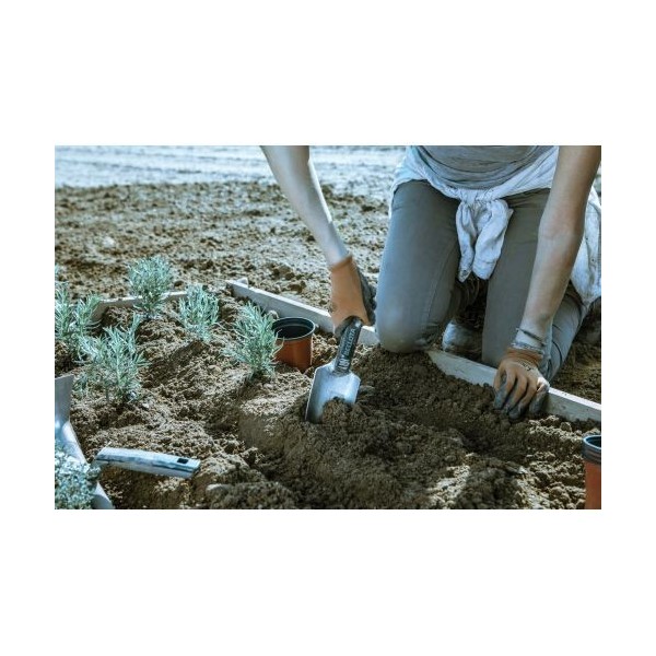 Cultivador de aluminio de mango corto,  con ancho de trabajo 84mm / 2998