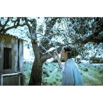 Sierra de arco para corte de madera seca / 4539 2