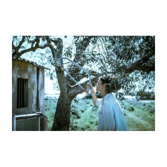 Sierra de arco para corte de madera seca / 4539