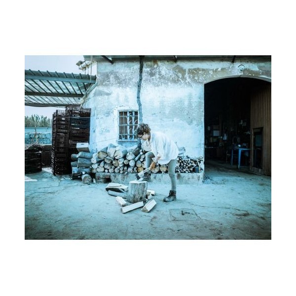 Hacha vizcaina PROLINE con cuña patentada / 8130N