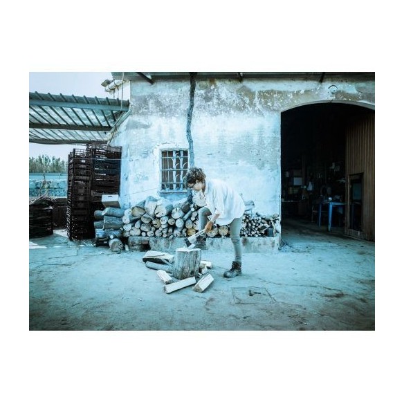 Hacha vizcaina PROLINE con cuña patentada / 8130N