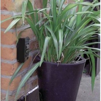 GUARDALLAVES CORINTO-1