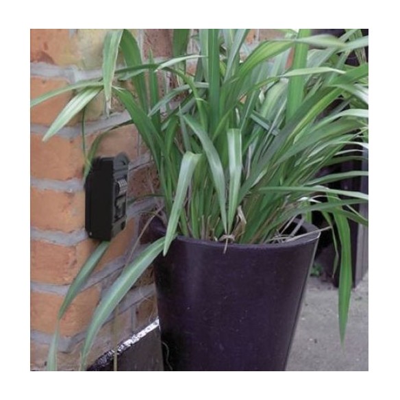 GUARDALLAVES CORINTO-1