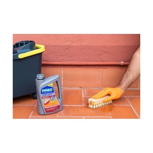 PASO ELI CEMENTO TERRACOTA POROSO1L