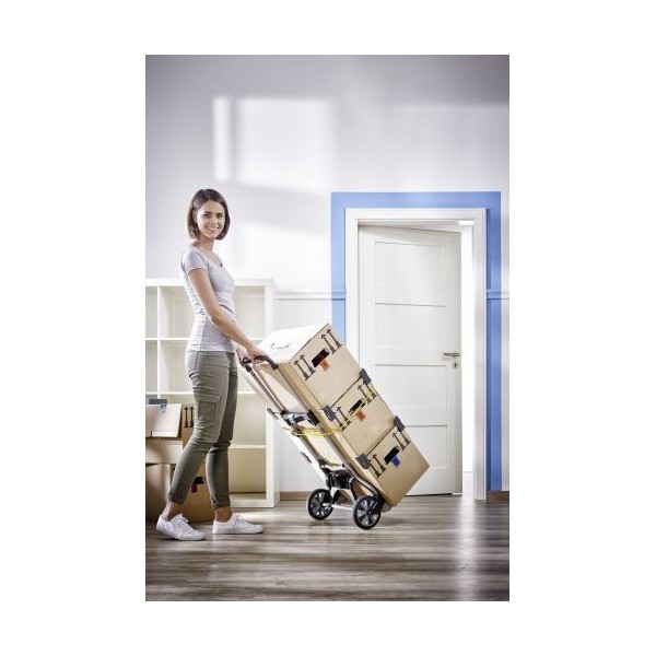 Carro de transporte TS 850