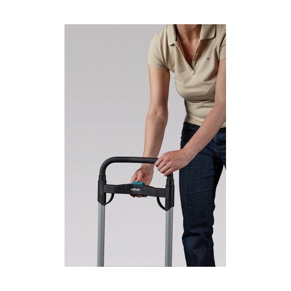 Carro de transporte TS 850