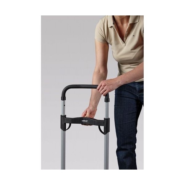 Carro de transporte TS 850