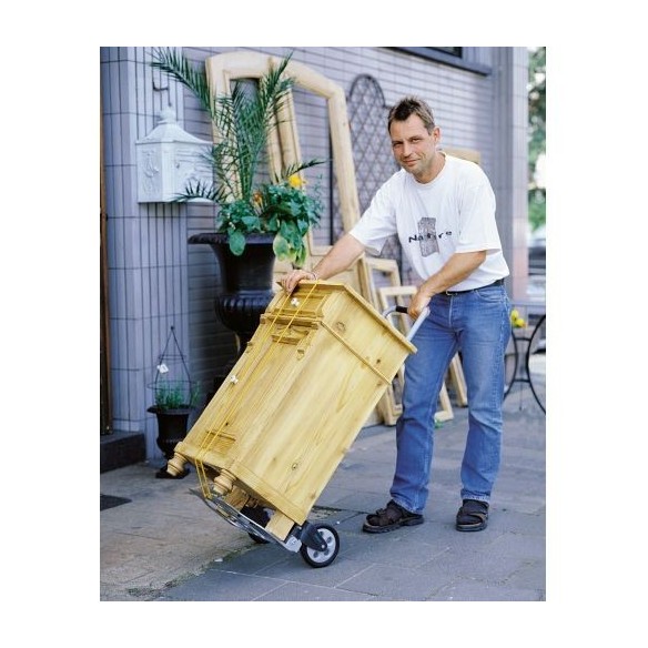 Carro de transporte TS 600