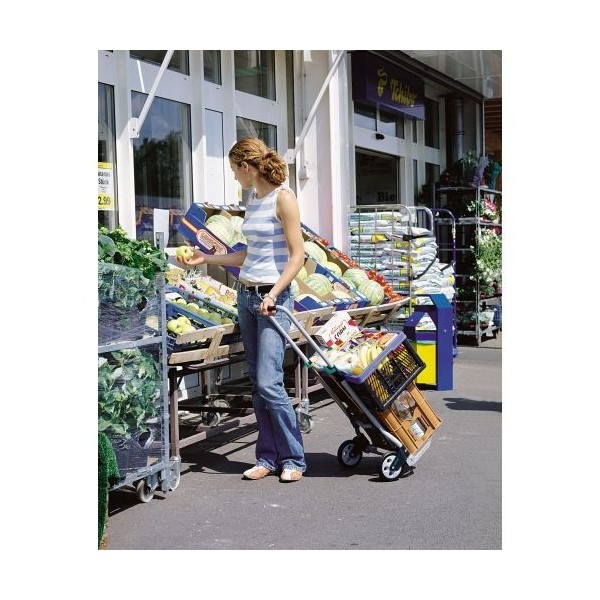 Carro de transporte TS 600