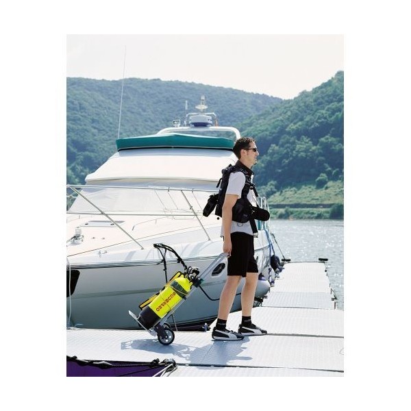 Carro de transporte TS 600