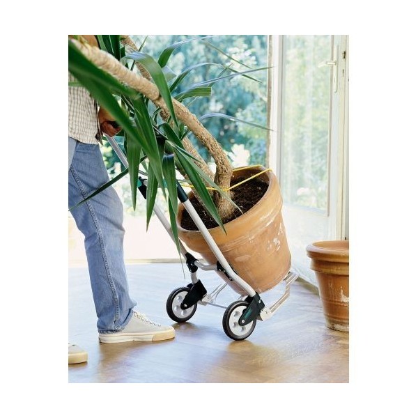 Carro de transporte TS 600