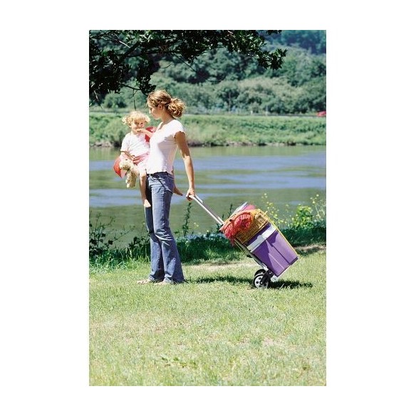 Carro de transporte TS 600