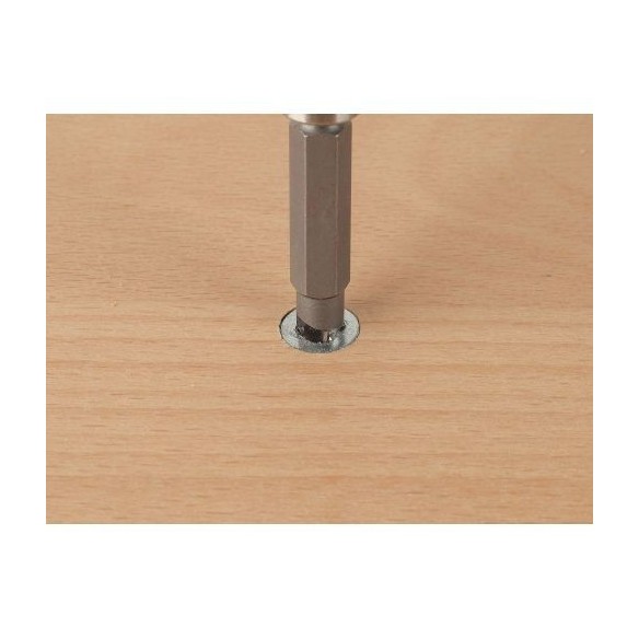 Set de puntas para tornillos defectuosos