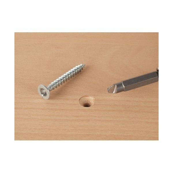 Set de puntas para tornillos defectuosos