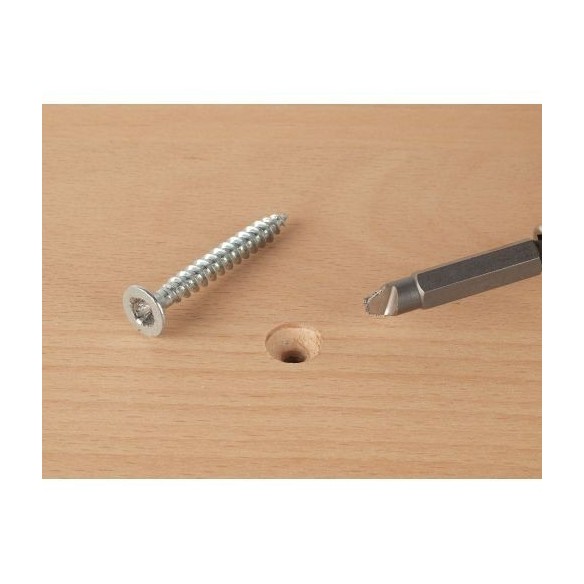 Set de puntas para tornillos defectuosos